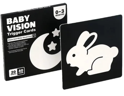 Infant Visual Learning Cards