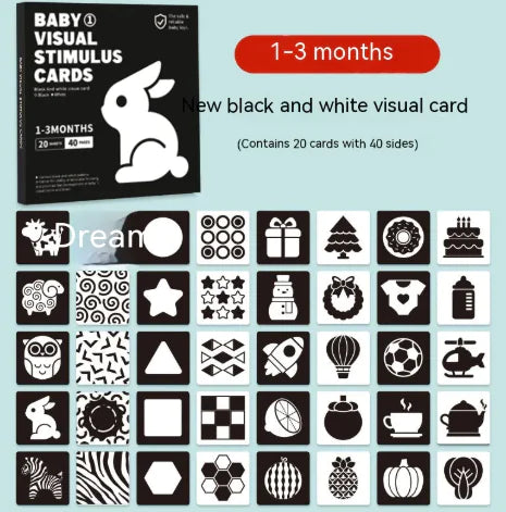 Infant Visual Learning Cards