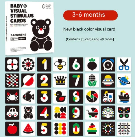Infant Visual Learning Cards